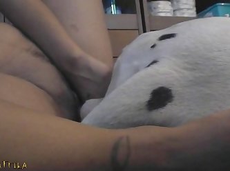 Show Me Free Porn Videos