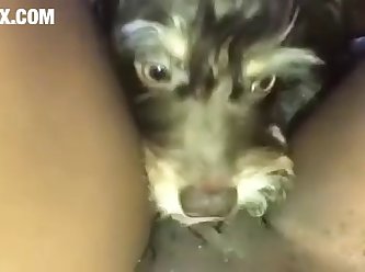 Really Loose Pussy