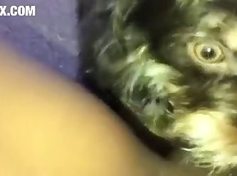 Really Loose Pussy