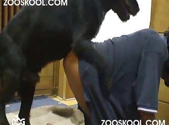 Dog Lick Orgasm