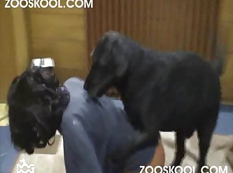 Dog Lick Orgasm