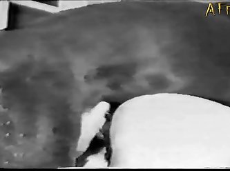 Dolphin Zoo Porn