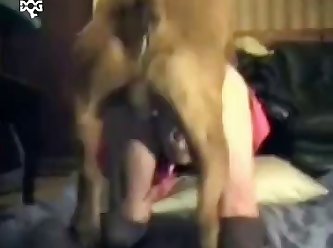 The Beauty The Beast Porn