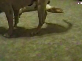 Loosest Pussy Ever