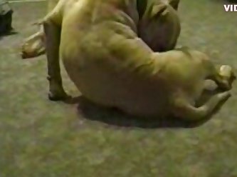 Loosest Pussy Ever