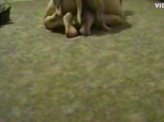 Loosest Pussy Ever
