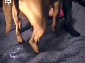 Big Dog Cocks