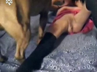 Big Dog Cocks