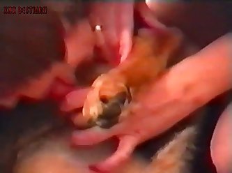 X Red Porn