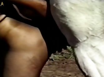 Dog Licking My Ass