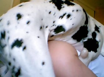 My Dog Licking My Pussy