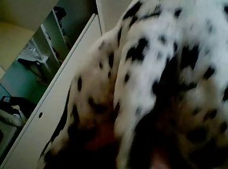 My Dog Licking My Pussy