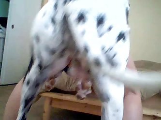 My Dog Licking My Pussy