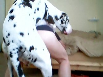 My Dog Licking My Pussy