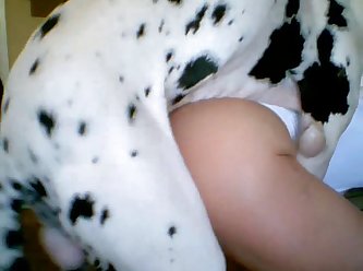 My Dog Licking My Pussy