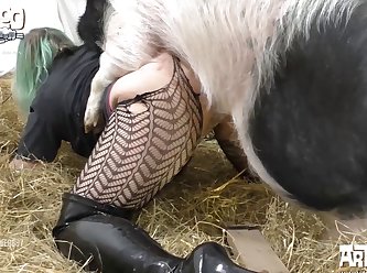 Boner Video