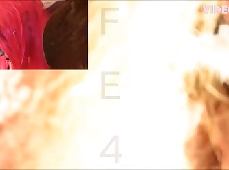 Videos Artofzoo