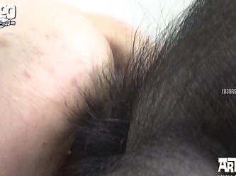 Man Fuck Dolphin
