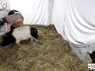 What Is The Horniest Animal