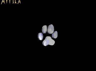 Extreme Bdsm Pain Porn