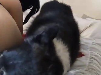 Ass Porn Extreme