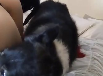 Ass Porn Extreme