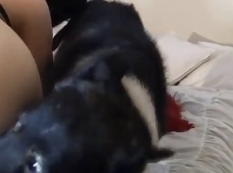 Ass Porn Extreme