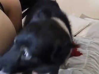 Ass Porn Extreme