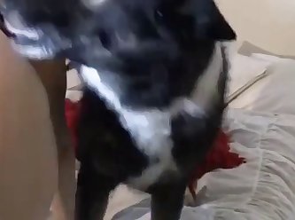 Ass Porn Extreme