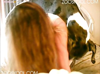 Porn Extreme Bj