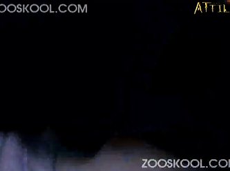 Porn Blowjob Extreme