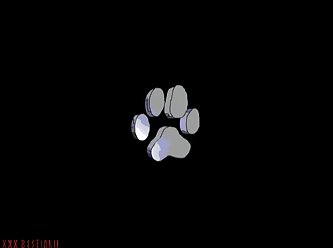 Bizarre Porn Extreme