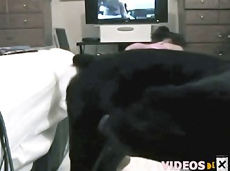Extreme Fisting Gangbang Porn