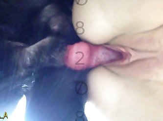 Porn Tranny Extreme