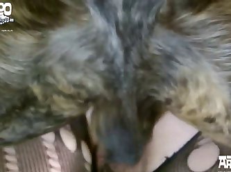 Zoo Extreme Porn