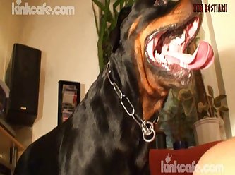 Extreme Porn Sites Hardcore Crazy Rough Sex Videos