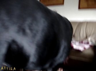 Hardcore Extreme Rape Porn