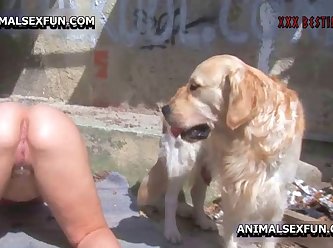 Extreme Zoo Animal Porn