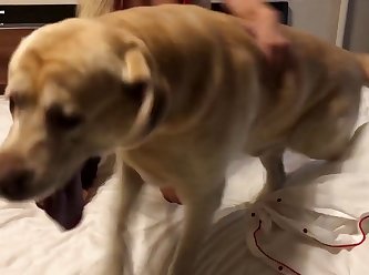 Extreme Small Pussy Porn