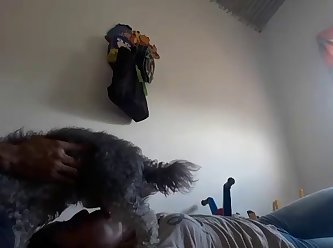 Zoophilia Sex