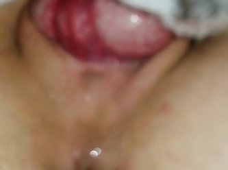 Porno Zoofilia