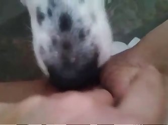 Paorn