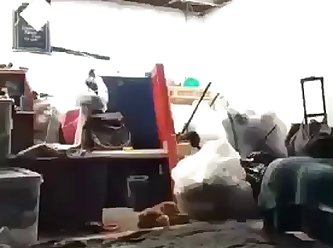 Guy Fucks Small Dog