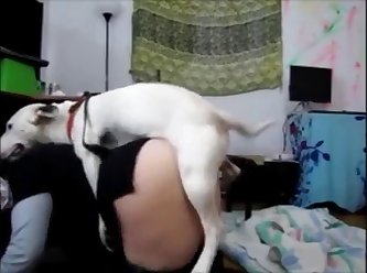 Zoophilia Videos
