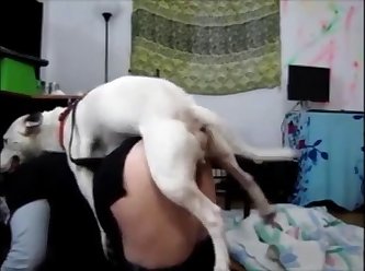 Zoophilia Videos