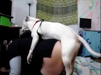 Zoophilia Videos