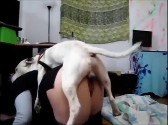 Zoophilia Videos