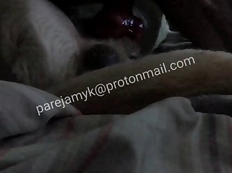 Dog Sex Compilation