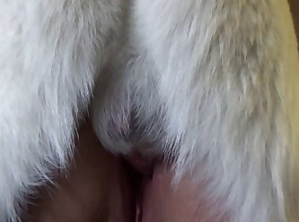 Artofzoo Porn