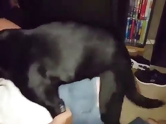 Porn Perfect
